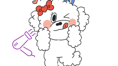 애견미용실/파사디나