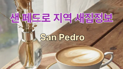 샌페드로 지역 새집정보